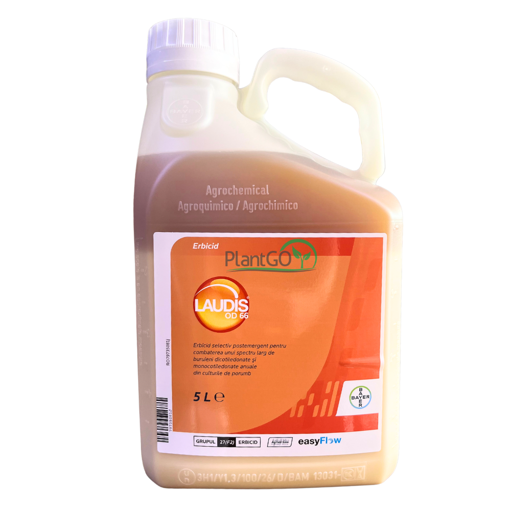 Laudis 5L OD 66 5L