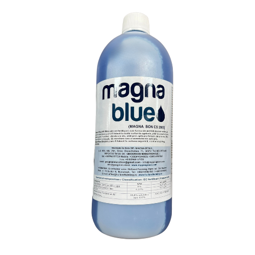 Magna Blue 1L