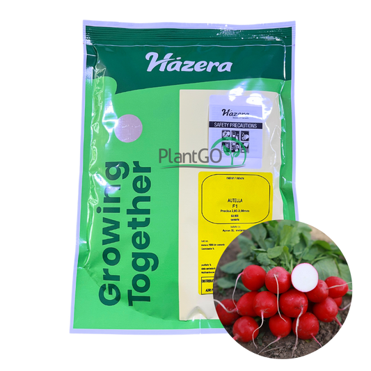 Ridichi Autella F1 50000 seminte - PlantGO