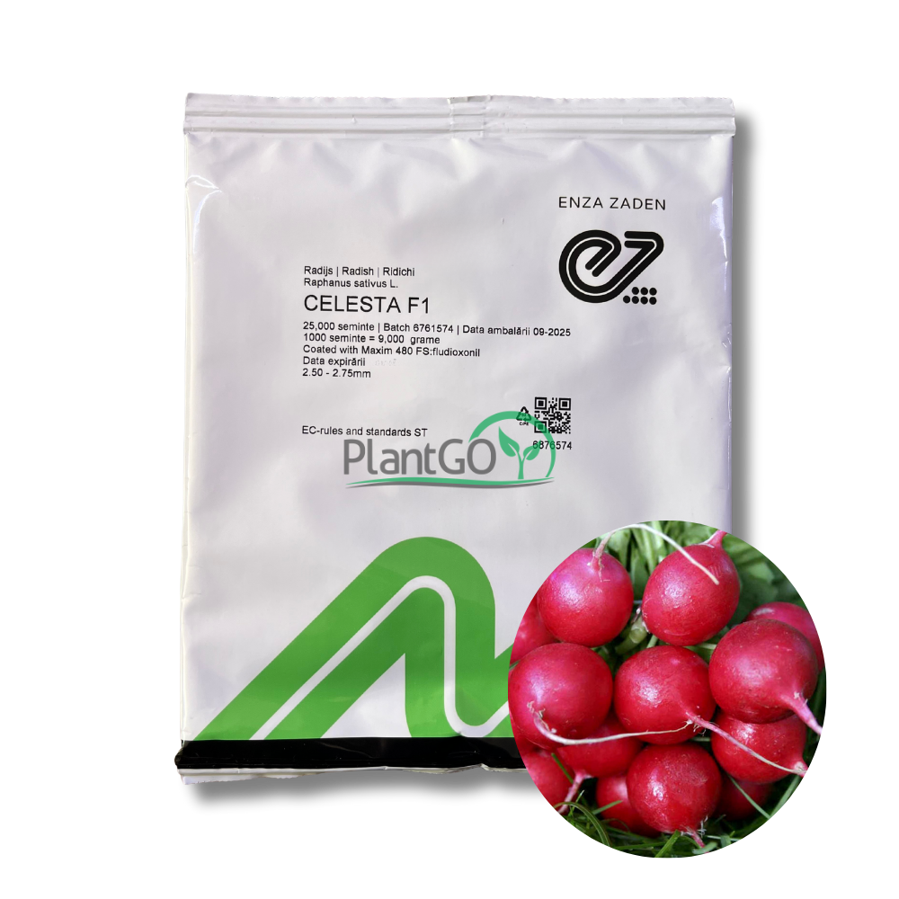 Ridichi Celesta F1 25000 seminte