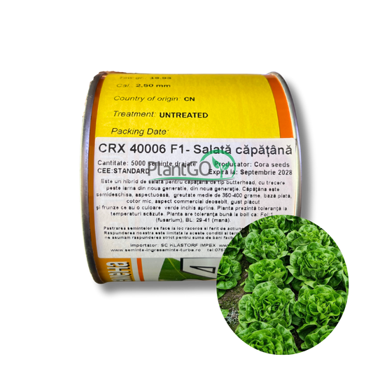 Salata capatana CRX 40006 drajata F1 5000 seminte - PlantGO