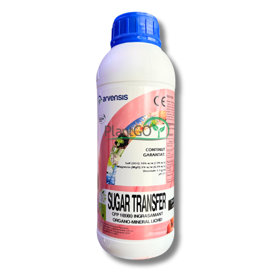 Sugar Transfer 1L