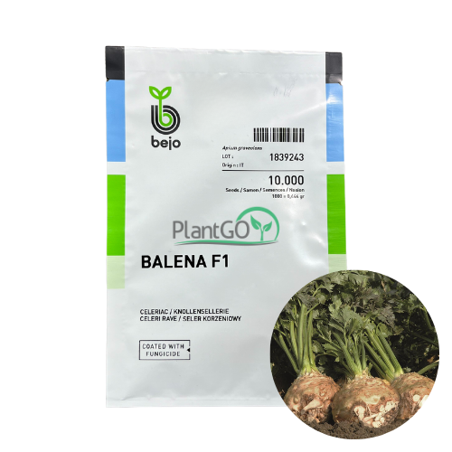 Telina Balena F1 10000 seminte - PlantGO