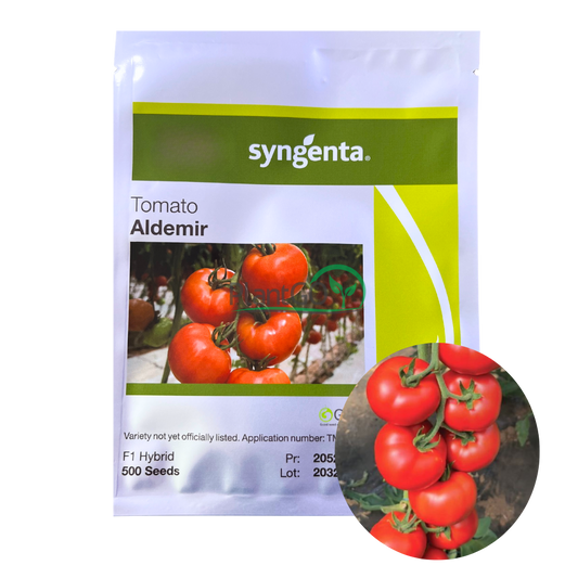 Tomate Aldemir F1 500 seminte - PlantGO