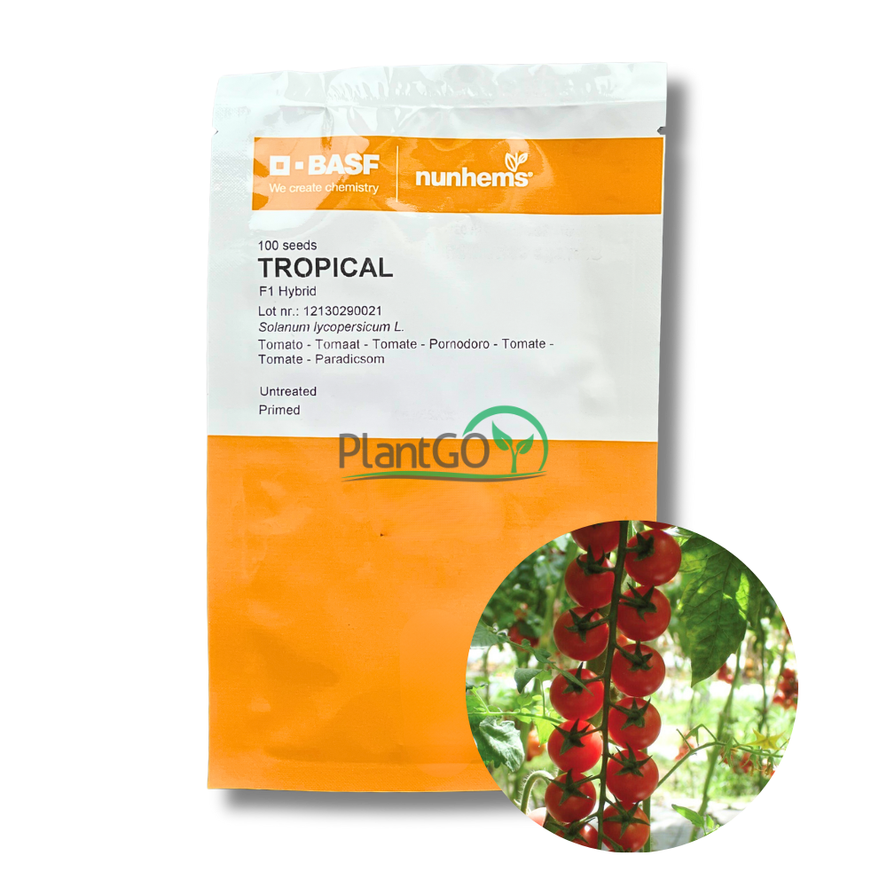 Tomate tip cherry Tropical F1 100 seminte - PlantGO