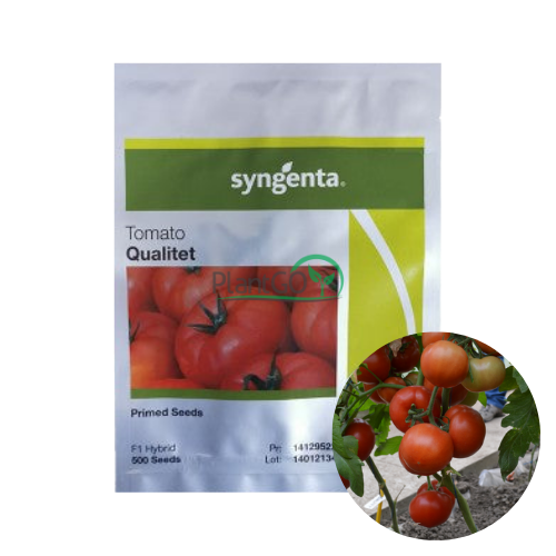 Tomate Qualitet F1 500 seminte