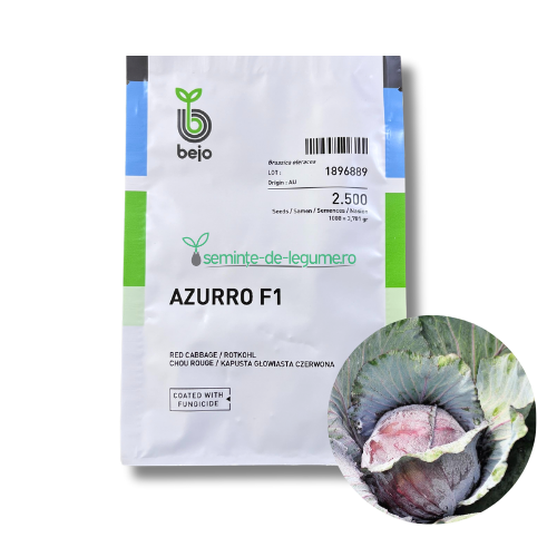 Varza Rosie Azurro F1 2500 seminte
