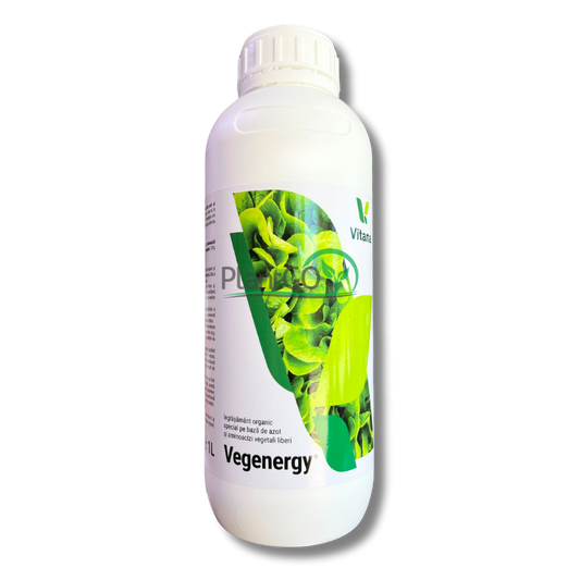 Vegenergy 1L