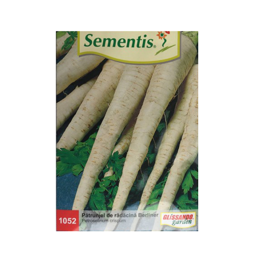 Patrunjel de radacina Berliner 5 gr - Semintis - seminte-de-legume.ro