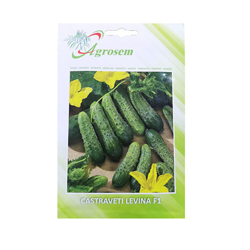 Castraveti Levina F1 10 gr - Agrosem - seminte-de-legume.ro
