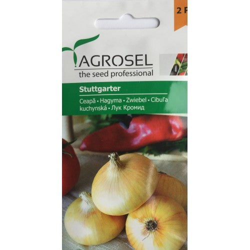 Ceapa Stuttgarter 2 gr - Agrosel - seminte-de-legume.ro