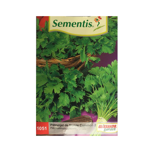 Patrunjel de frunza Common2 5 gr - Semintis - seminte-de-legume.ro