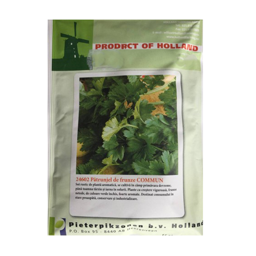 Patrunjel de frunze Commun 50  gr - Holland - seminte-de-legume.ro