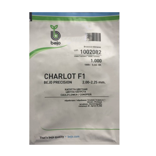 Conopida Charlot F1 1000 seminte - Bejo - seminte-de-legume.ro