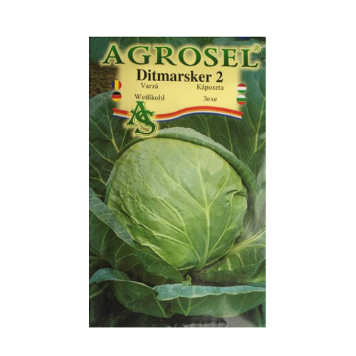 Vazra Ditmarsker 4 gr - Agrosel - seminte-de-legume.ro