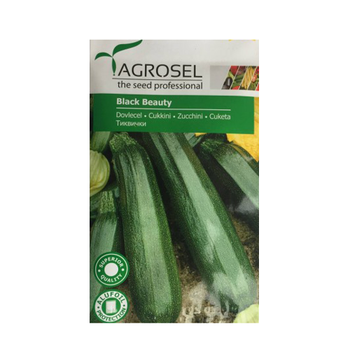 Dovlecel Black Beauty 3 gr - Agrosel - seminte-de-legume.ro