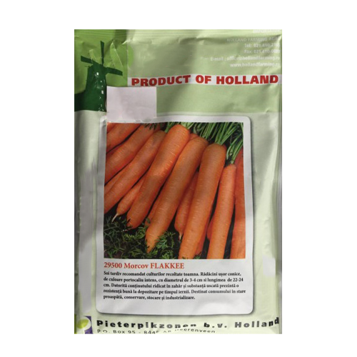 Morcovi Flakkee 50 gr - Holland - seminte-de-legume.ro