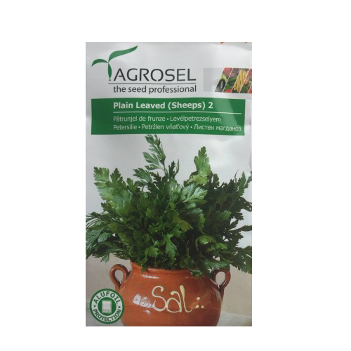 Patrunjel de frunze Plain Leaved2 5 gr - Agrosel - seminte-de-legume.ro