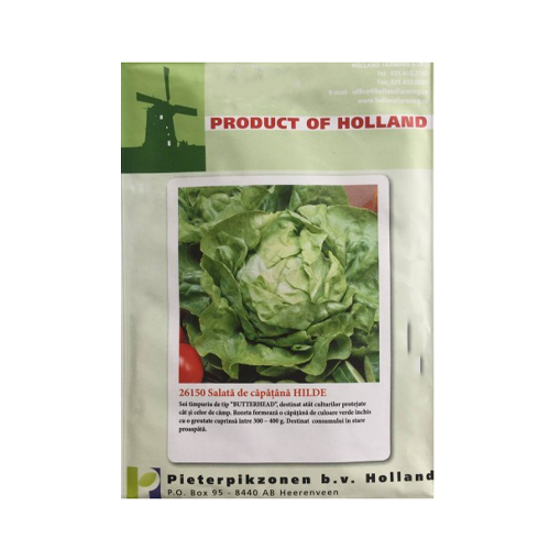 Salata Hilde 50 gr - Holland - seminte-de-legume.ro