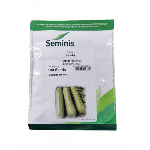 Dovlecel Scilly F1 100 seminte - Seminis - seminte-de-legume.ro
