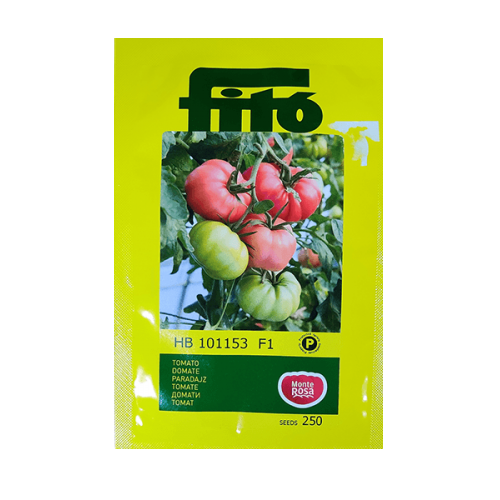 Tomate HB 101153 F1 250 seminte - Fito - seminte-de-legume.ro