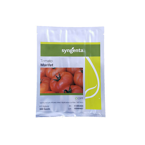 Tomate Marifet F1 500 seminte - Syngenta - seminte-de-legume.ro