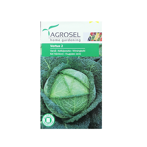 Varza Vertus 2 2 gr - Agrosel - seminte-de-legume.ro