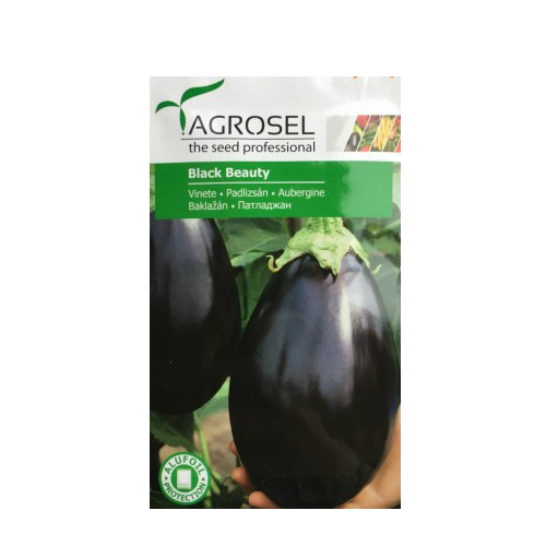 Vinete Black Beauty 2 gr - Agrosel - seminte-de-legume.ro